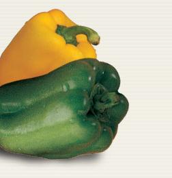 Bell Pepper