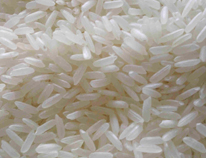 Broken White Rice, Variety : 5%, 25%, Moisture : 13% MAX
