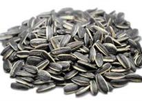 Sunflower Seeds, Purity : 99%