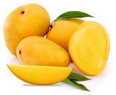 Alphonso Mango Pulp