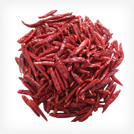 Dry red chilli