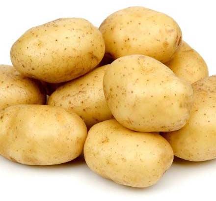 Potato, Packaging Size : 5-25kg