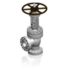 Angle Globe Valve