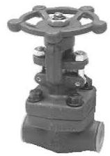 CLASS 800 GLOBE VALVE