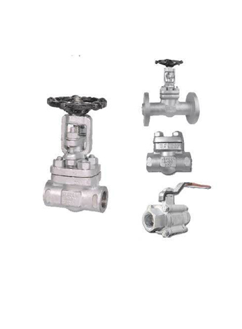 Forged Steel Valves