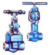 Hand Operated Forged Carbon Steel Valves