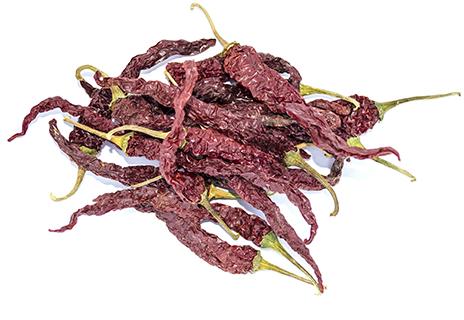 Byadgi Chilli
