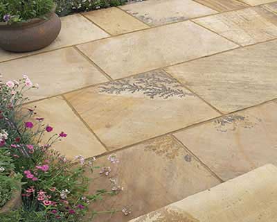 Mint Fossil Natural Sandstone