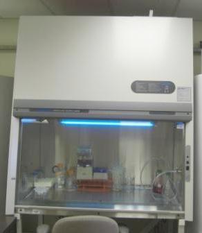 Biosafety Cabinets