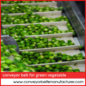 Conveyor Belt For Green Vegetable Processing
