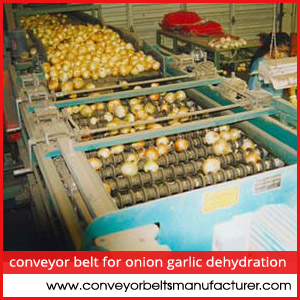 Conveyor Belt For Onion Garlic Dehydration