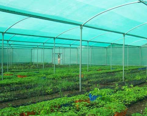UV Stabilized Agricultural Shade Net, Thickness : 10-15mm