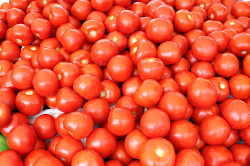 Common Fresh Tomato, For Cooking, Packaging Type : Net Bag