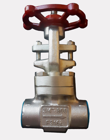 Globe Valve