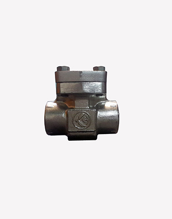 Lift Check Valve