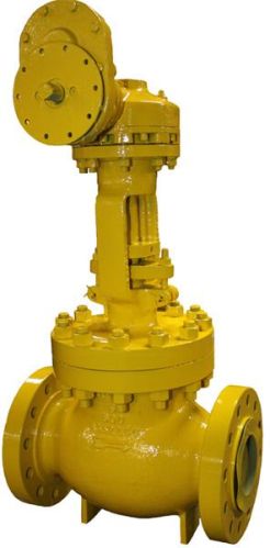 Bolted Bonnet Globe Valve