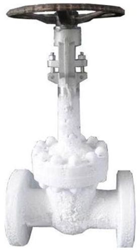 Cryogenic Gate Valve