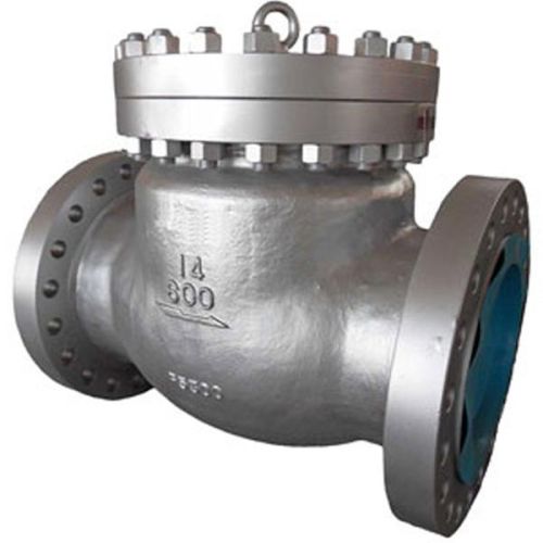 Cryogenic Swing Check Valve