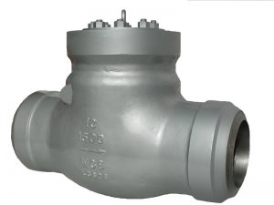 Pressure Seal Swing Check Valve