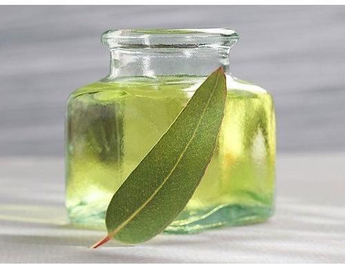 Eucalyptus Oil, For Fever, Infections, Stomach Issue, Feature : Aid Wound Care, Freshness