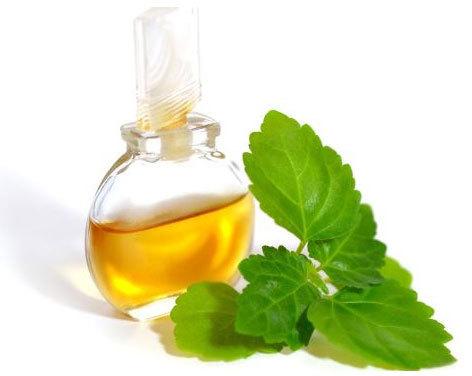 Patchouli Oil