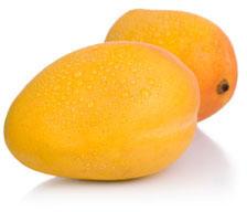 Totapuri Mango Pulp