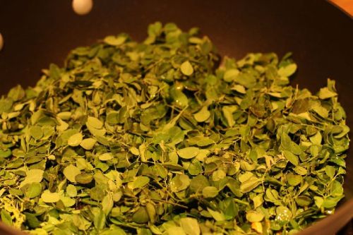 Moringa Dried Leaves, Feature : Fine Quality