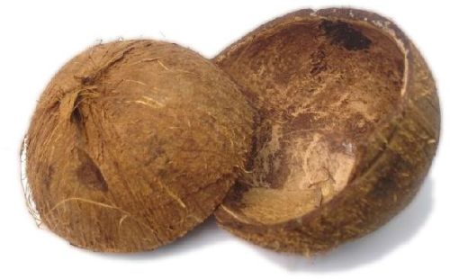 Raw Coconut Shell, Color : Brown