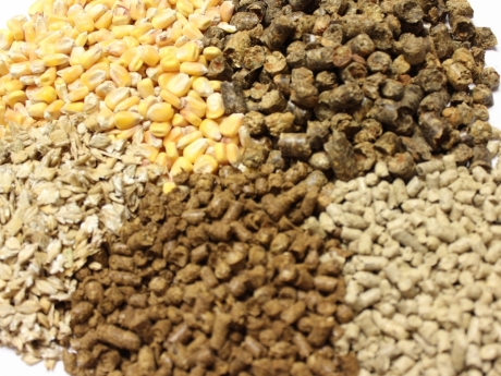 Common Animal Feed Products, For Food Grade Powder, Certification : FSSAI Certified