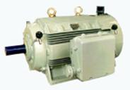 Iron Enclosure Motors