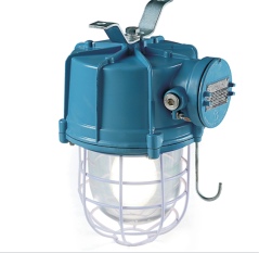 Weatherproof Ex D Integral Well Glass Fitting