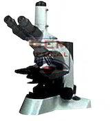 Antifungal Binocular Microscope