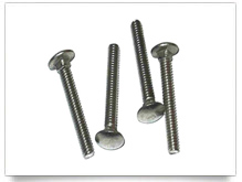 Carriage Bolt