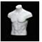 Adams Mannequins Male Torso MT05