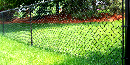 Residential Netting