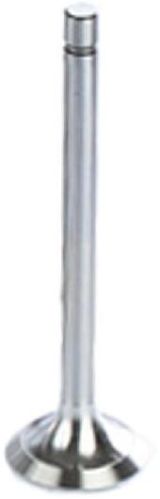 Stainless Steel Engine Valve