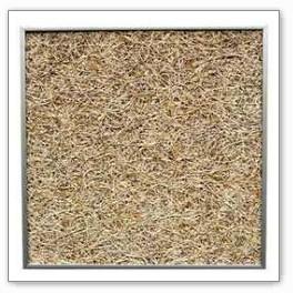 Wood Wool