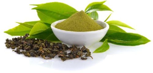 Green Tea Extract