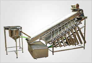 Automatic Grading Filth Washing Machine With Front Feeder Conveyor