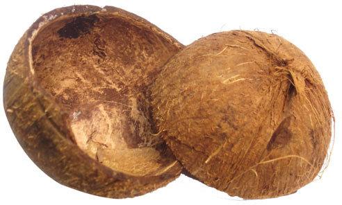 Raw Coconut Shell, Color : Brown