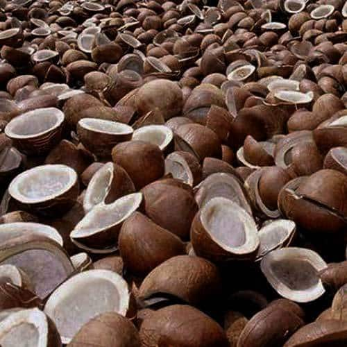 Organic Split Coconut Copra, Feature : Rich In Protein