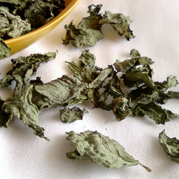 Mint Dried Leaves