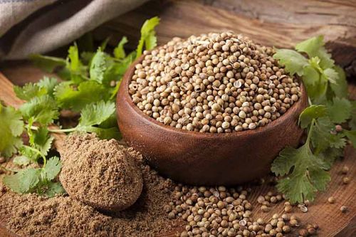 Organic Coriander Seeds