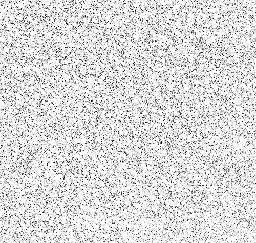 Polished White Granite Slabs