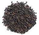 Black Pepper