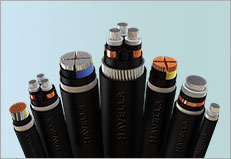 Copper Armored Cable