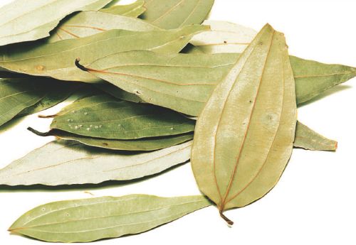 Bay Leaves, Color : Green