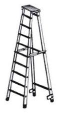 Folding Ladders