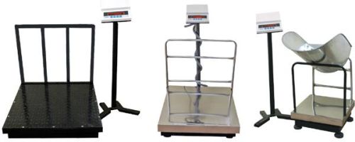 Industrial Platform Scale