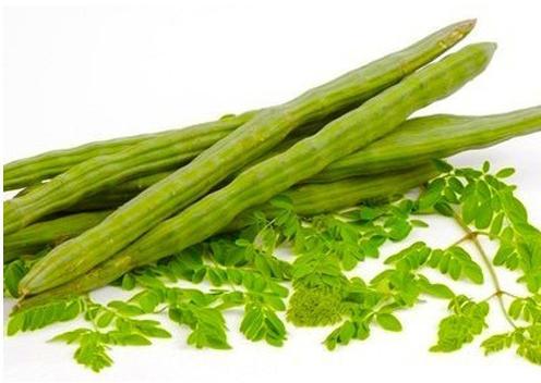 Organic Fresh Drumstick, Color : Green